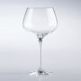 Fusion Infinity Pinot Noir Wine Glasses - Set of 4