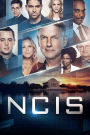 Ncis: Seventeenth Season