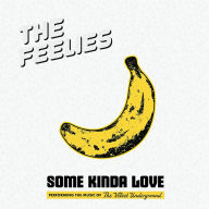 Title: Some Kinda Love: Performing the Music of the Velvet Underground, Artist: The Feelies