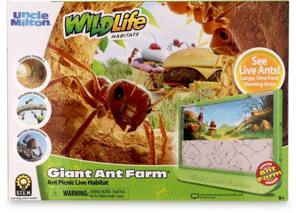 Giant Ant Farm