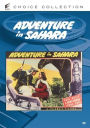 Adventure in Sahara