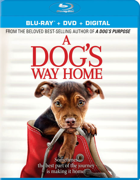 A Dog's Way Home [Includes Digital Copy] [Blu-ray/DVD]