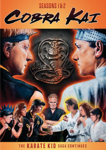 Cobra Kai: Season 1 and 2