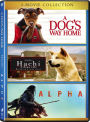 Alpha/A Dog's Way Home/Hachi: A Dog's Tale
