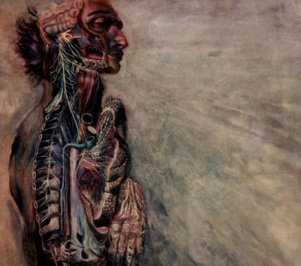 Fear and the Nervous System