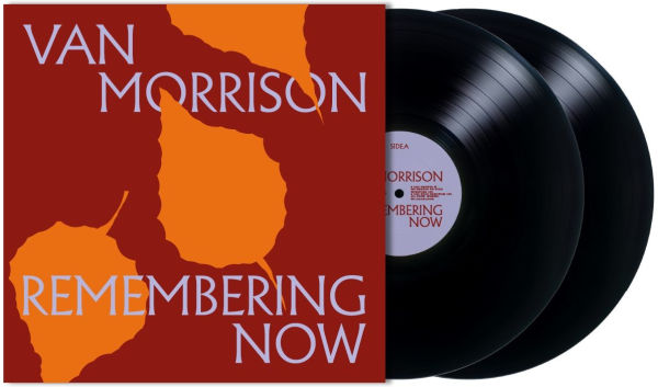 Remembering Now [2 LP]