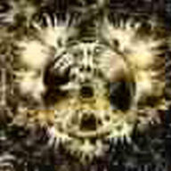 Title: Nova Express, Artist: NeBeLNeST