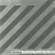 Title: Passing Through the Wall, Artist: Zevious