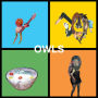 Owls