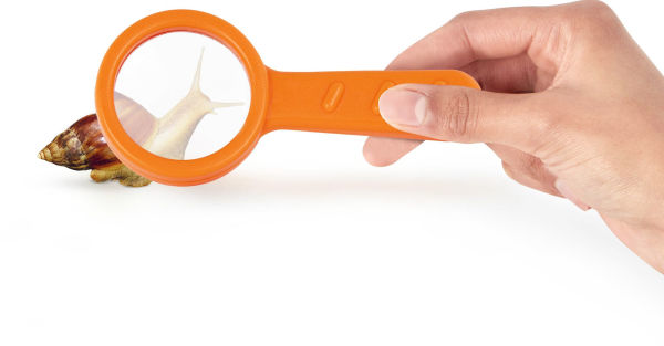 Inspect an Insect Set Bug Catching Vacuum