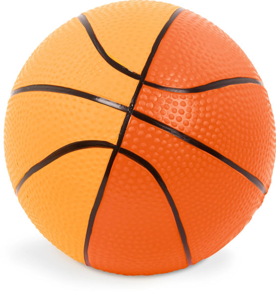 Sports Balls 4 Balls & Carry Bag