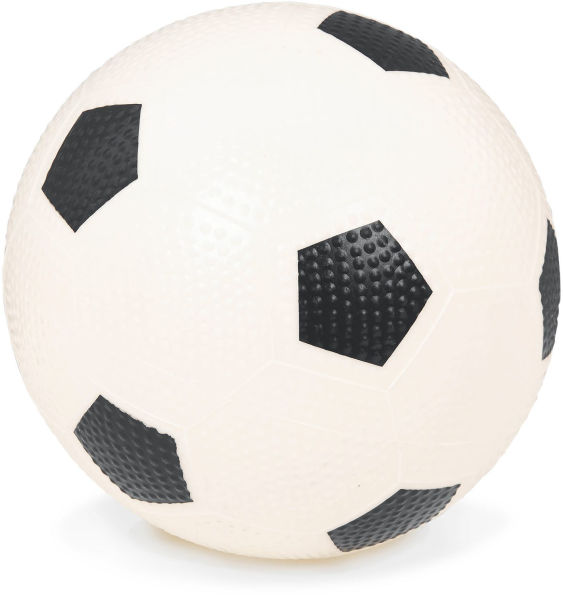 Sports Balls 4 Balls & Carry Bag