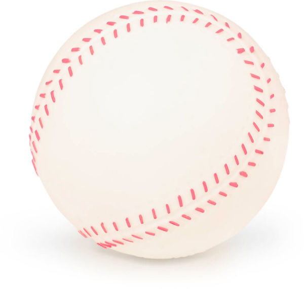 Sports Balls 4 Balls & Carry Bag