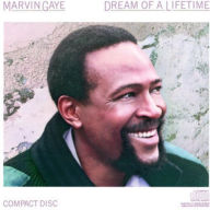 Title: Dream of a Lifetime, Artist: Marvin Gaye