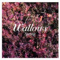 Title: Spring, Artist: Wallows