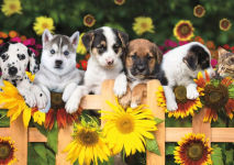 Alternative view 2 of 300 Adorable Animals: The Gangs all Here Puzzle