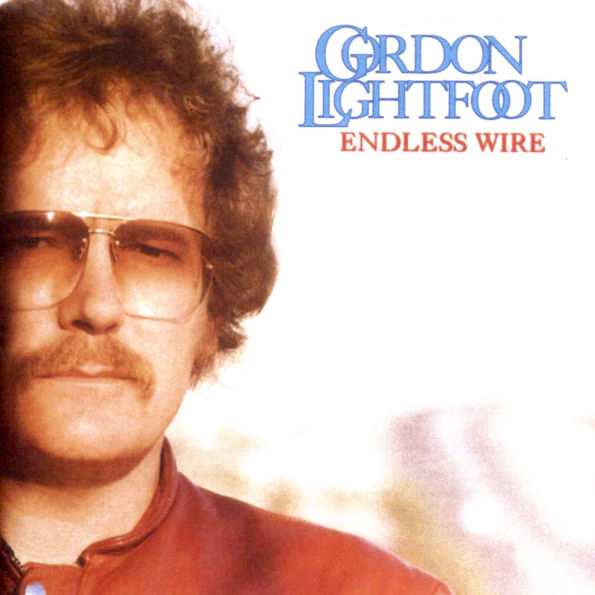 Endless Wire