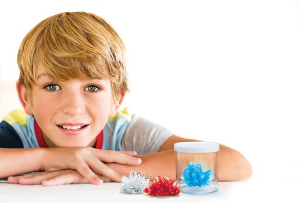 Jr. Science Explorer - Crystal Growing Kit