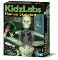 Title: 4M Glow Human Skeleton Science Kit