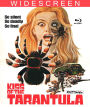 Kiss of the Tarantula [Blu-ray]