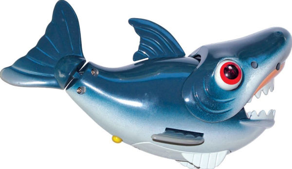 Catch of the Day - Shark