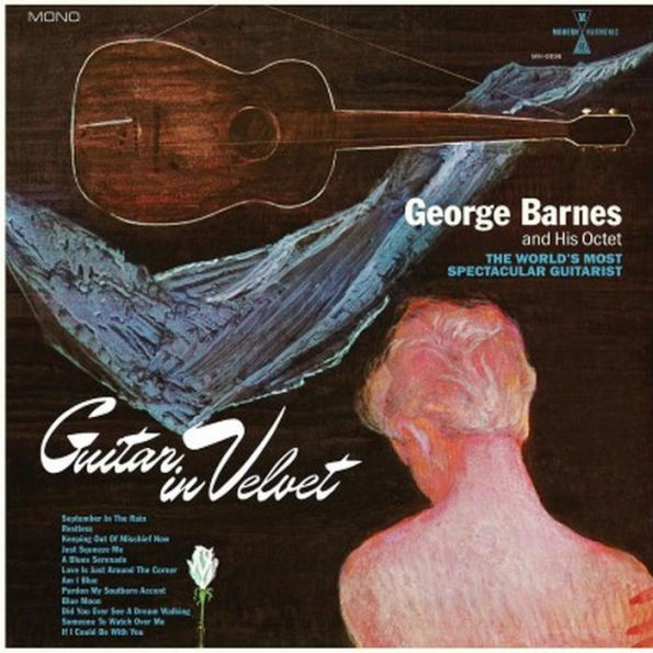 Guitar in Velvet