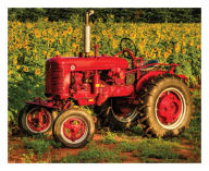 Title: American Made 1000 Piece Jigsaw Puzzle