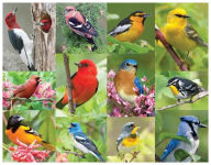 Title: Birds of a Feather 36 Piece Jigsaw Puzzle