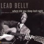 Where Did You Sleep Last Night: Lead Belly Legacy, Vol. 1