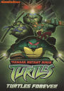 Teenage Mutant Ninja Turtles: Turtles Forever