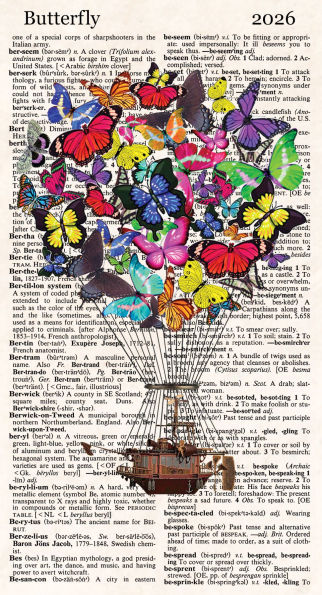 2025-2026 Mini Skinny Planner Butterfly Balloon