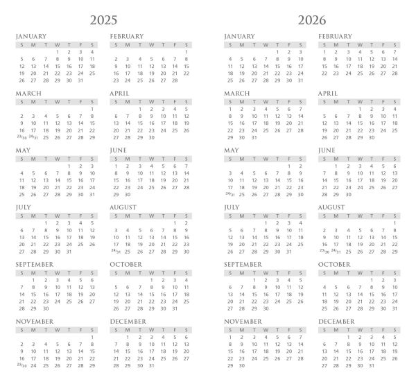 2025-2026 Mini Skinny Planner Moonlit Meadow