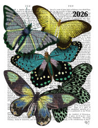 Title: 2025-2026 Surrey Planner Big Bold Butterflies