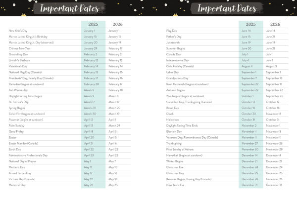2025-2026 Chunky Planner Rainbow Jellyfish