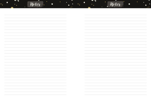 2025-2026 Chunky Planner Rainbow Jellyfish