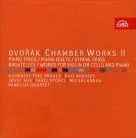 Dvor¿¿k: Chamber Works, Vol. 2