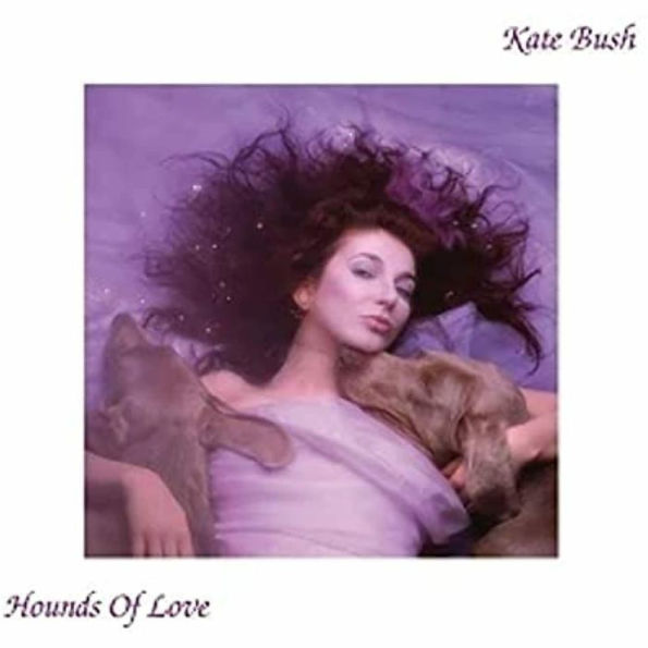 Hounds of Love