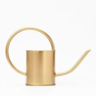 Title: Gold Watering Can