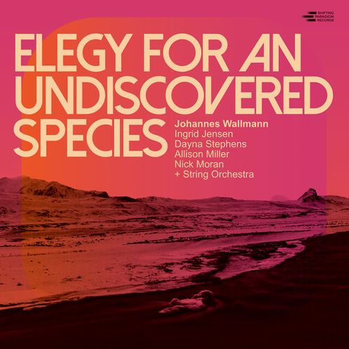 Elegy for an Undiscovered Species