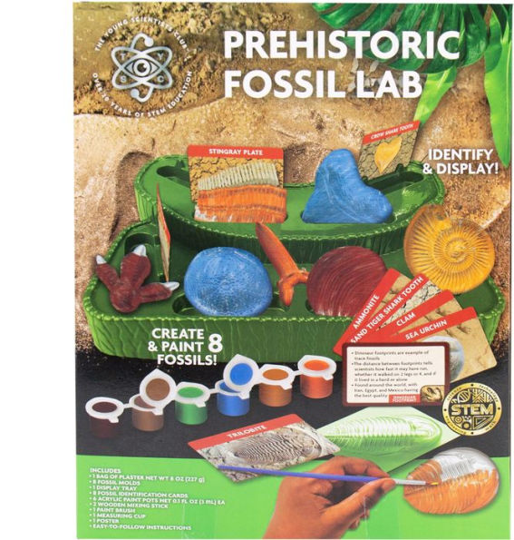 The Young Scientist Club Prehistoric Fossil Lab