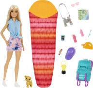 Title: Barbie Doll and Accessories