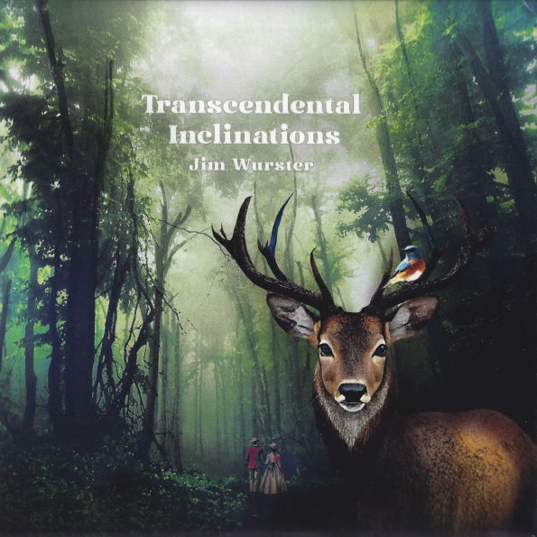 Transcendental Inclinations