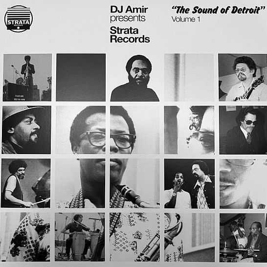 DJ Amir Presents Strata Records: The Sound of Detroit, Vol. 1