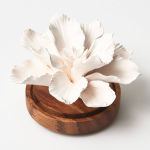 Alternative view 1 of Chamomile Hibiscus Diffuser