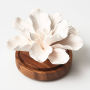 Chamomile Hibiscus Diffuser