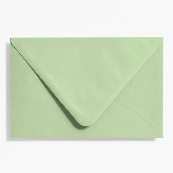 A9 Eucalyptus Envelopes