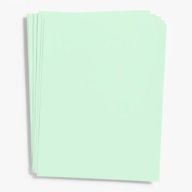 Title: MINT 8.5X11 TXT (BULK)