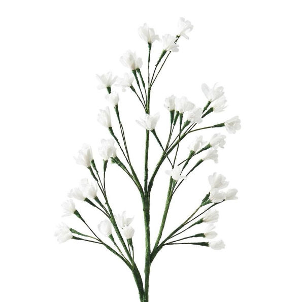 White Baby's Breath