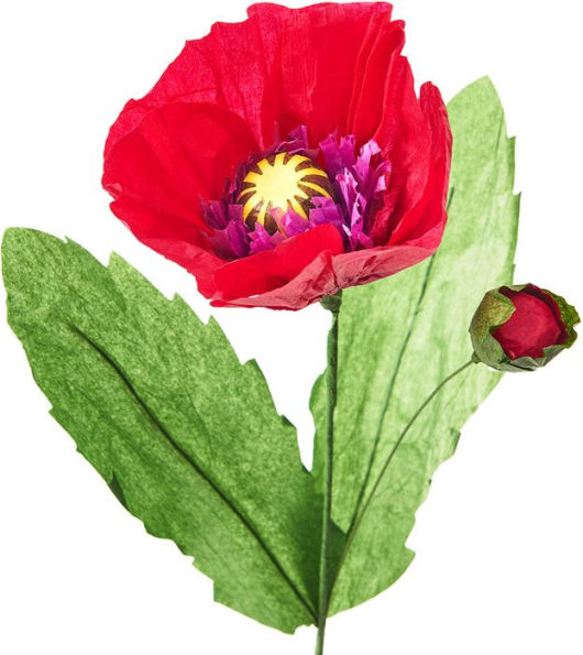 Magenta Fringed Bloom