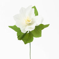 Title: Christmas Rose Paper Flower